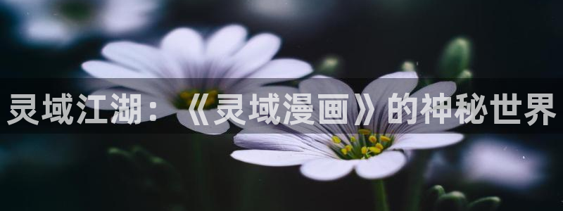 歪歪漫画免费观看完整版